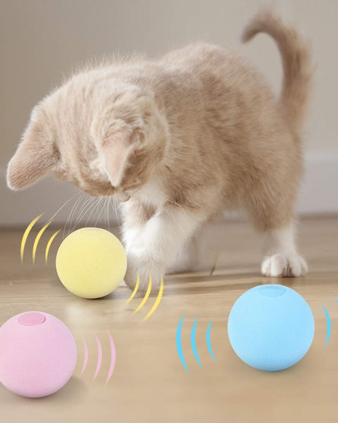 Smart Cat Toys Interactive Ball Catnip Cats Toy Playing Ball